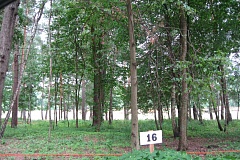 Коттеджный посёлок Сказочный лес